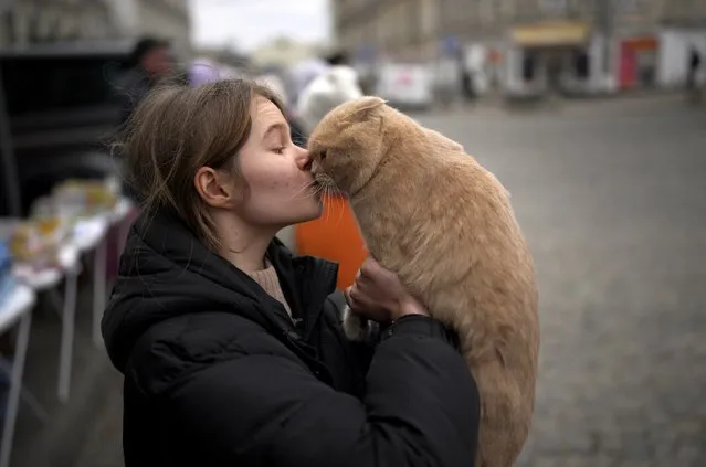 Julia Lazarets plays with her cat Gabriel, after fleeing Ukraine and arriving at the train station in Przemysl, Poland, Tuesday, March 8, 2022. (Photo by Daniel Cole/AP Photo)