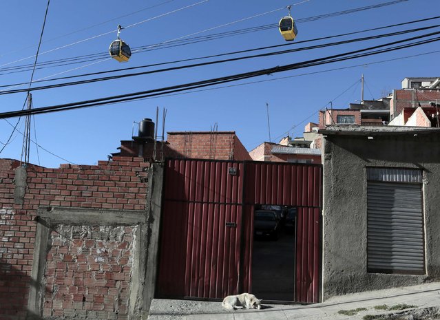 Cable cars pass overhead as a dog sleeps in front of a building below in the district of Kota Uma in La Paz, July 23, 2015. (Photo by David Mercado/Reuters)