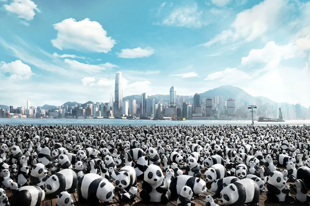 1600 Pandas World Tour in Hong Kong. (Photo by Yahoo Brasil)