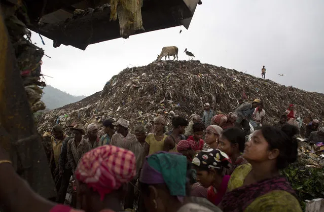 Indian ragpickers wait to collect recyclable materials as a truck prepares to unload garbage at a garbage dumping site on the outskirts of Gauhati, Assam state, India, Monday, June 5, 2017. Monday marks World Environment Day. (Photo by Anupam Nath/AP Photo)