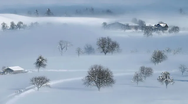 The snow-covered landscape is seen near Menzingen, Switzerland on February 5, 2019. (Photo by Arnd Wiegmann/Reuters)