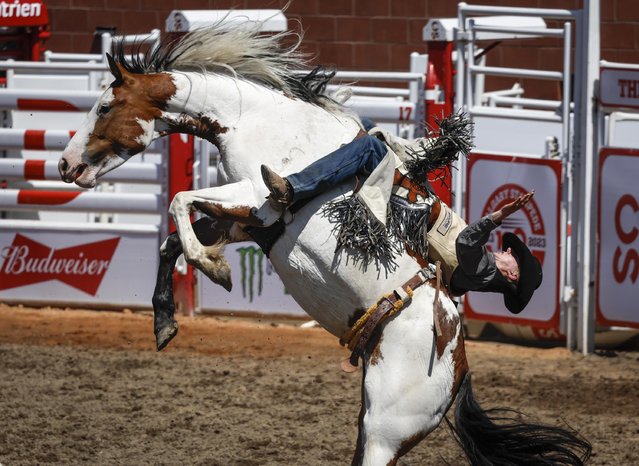 Chase Siemens, of Lone Prairie, B.C., comes off Foxy Warrior during novice bareback rodeo action at the Calgary Stampede in Calgary, Alberta, Saturday, July 8, 2023. (Photo by Jeff McIntosh/The Canadian Press via AP Photo)