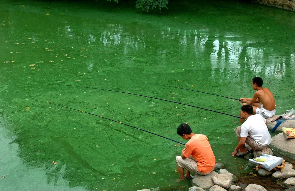 Water Pollution in China