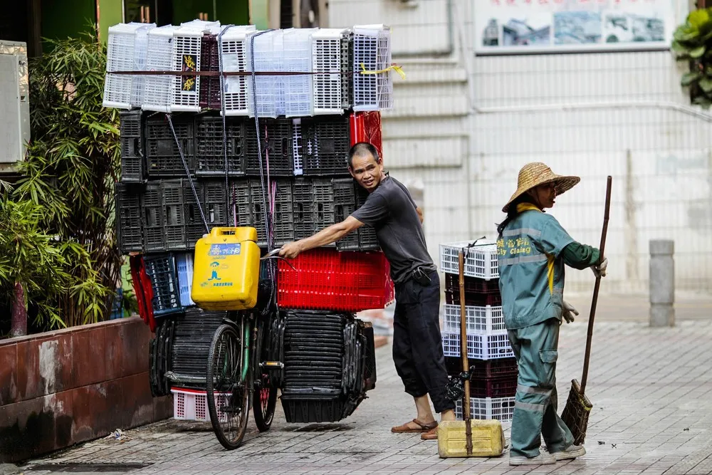 The Week in Pictures: August 23 – August 29, 2014. Part 2/6