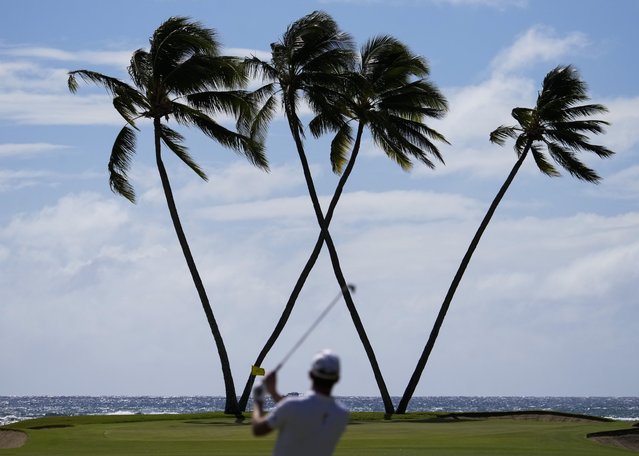 Andrew Putnam hits on the 16th hole during the final round of the Sony Open golf event, Sunday, January 12, 2025, at Waialae Country Club in Honolulu. (Photo by Matt York/AP Photo)