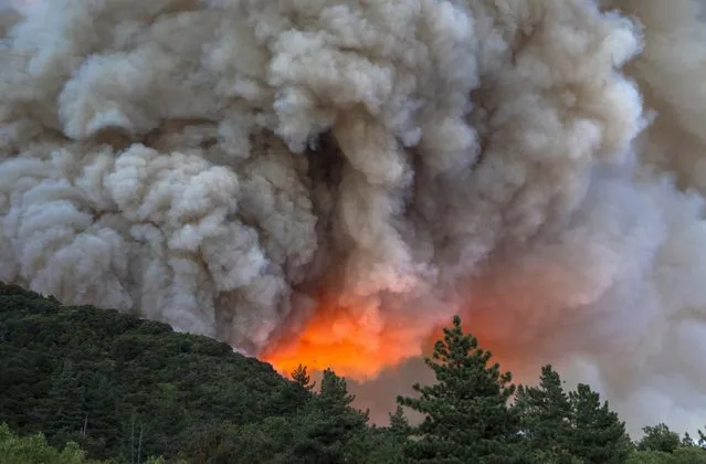 Flames and heavy smoke approach on a western front of the Apple Fire, consuming brush and forest at a high rate of speed during an excessive heat warning on August 1, 2020 in Cherry Valley, California. The fire began shortly before 5 p.m. the previous evening, threatening a large number of homes overnight and forcing thousands to flee before exploding to 12,000 acres this afternoon, mostly climbing the steep wilderness slopes of the San Bernardino Mountains. (Photo by David McNew/Getty Images)