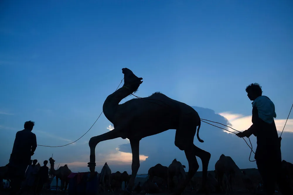 Some Photos: Silhouettes