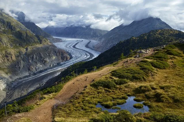 The Aletsch Glacier is pictured in Riederalp, Switzerland, August 23, 2015. (Photo by Denis Balibouse/Reuters)