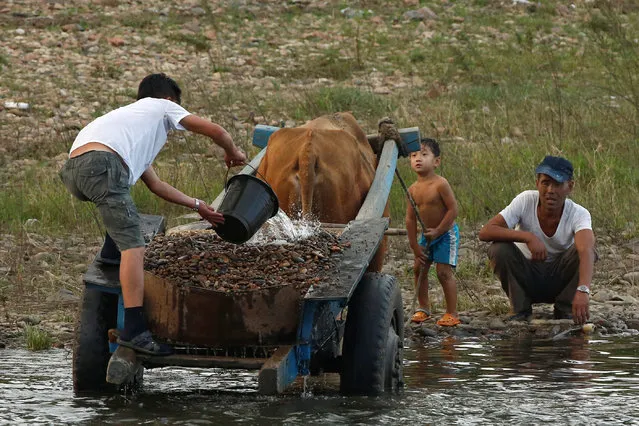 A man pours water onto a cart of an ox-wagon at the bank of the Yalu River, outside the North Korean town of Sinuiju, opposite Dandong in China's Liaoning province, September 11, 2016. (Photo by Thomas Peter/Reuters)