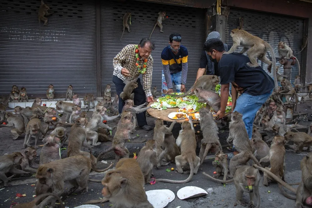 A Look at Life in Thailand, Part 1/2