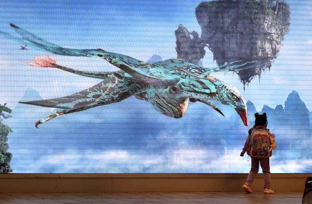 A young traveler comes face-to-face with a banshee from Walt Disney World's Pandora: The World of Avatar on the resort's giant display in the East Hall B-side atrium of Orlando International Airport, Tuesday, August 5, 2025. (Photo by Joe Burbank/Orlando Sentinel via AP Photo)