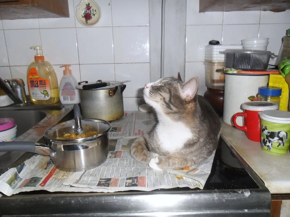 “Combinado del Este” Prison in Havana