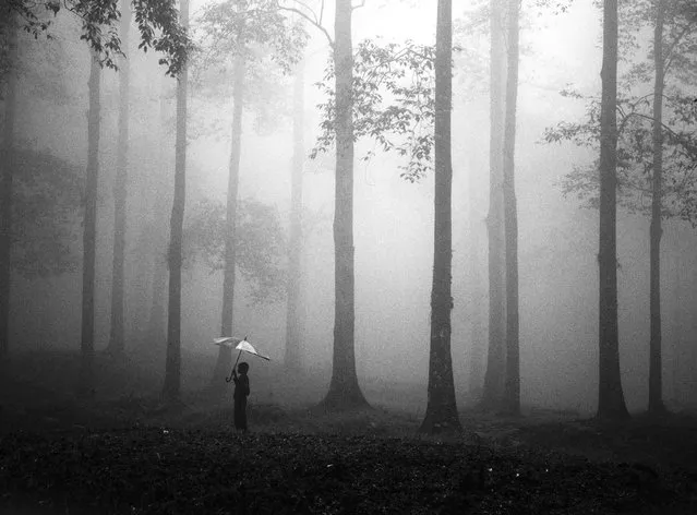 “After The Rain”. A beautiful misty forest after the rain. Taken in Gunung Halimun Salak National Park, West Java Indonesia, January 2012. (Photo and caption by Hengki Lee/National Geographic Traveler Photo Contest)