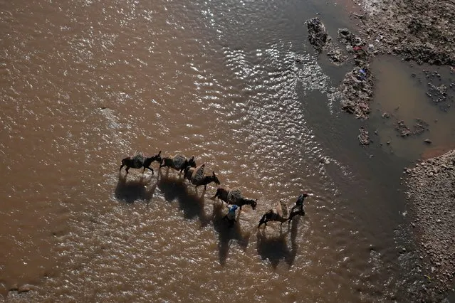 Indian men collect sand on horse backs and walk across a polluted River Tawi on World Environment Day in Jammu, India, Monday, June 5, 2023. (Photo by Channi Anand/AP Photo)