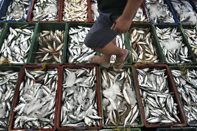 A man inspects newly caught fish at a market in Tacloban, Leyte, Philippines on Wednesday, October 26, 2022. (Photo by Aaron Favila/AP Photo)
