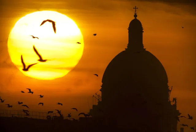 The city's landmarks St. Isaak's Cathedral is silhouetted as the sun sets in St. Petersburg, Russia, Wednesday, January 21, 2015. (Photo by Dmitry Lovetsky/AP Photo)