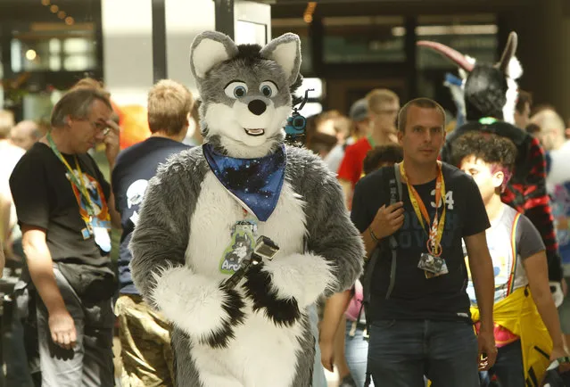 Participants dressed as cuddly animals arrive for the annual Eurofurence “furries” gathering at the Estrel hotel on August 22, 2018 in Berlin, Germany. (Photo by Michele Tantussi/Getty Images)