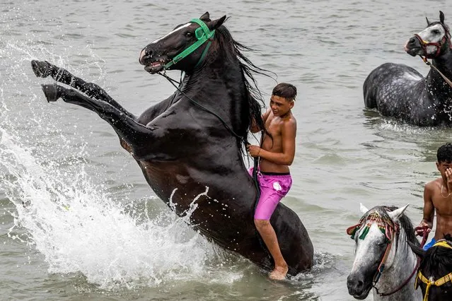 A rider of the Moroccan Fantasia (tbourida) horsemen rides his horse in the Atlantic ocean off a beach in leisure time during the annual Moussem festival of Moulay Abdellah Amghar near the city of El Jadida on August 8, 2023. (Photo by Fadel Senna/AFP Photo)