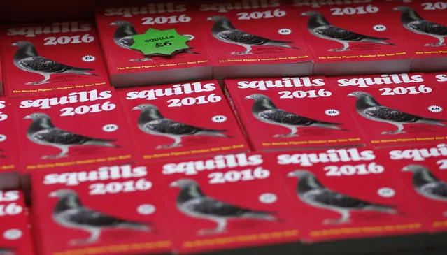 Pigeon books are displayed for sale during the British Homing World show of the year at Blackpool's Winter Gardens in Blackpool, north west England on January 17, 2016. (Photo by Andrew Yates/Reuters)
