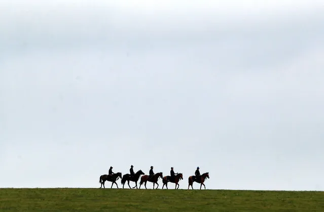Horses on the gallops at Newmarket Racecourse on May 14, 2021 in Newmarket, England. (Photo by Mike Egerton/Pool via Getty Images)