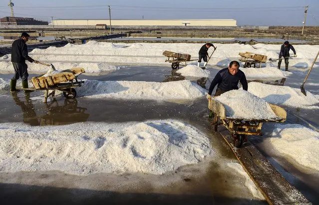 Employees work at a saltern where salt is made by evaporation in Rizhao, Shandong province, China, on November 13, 2013. (Photo by China Daily)
