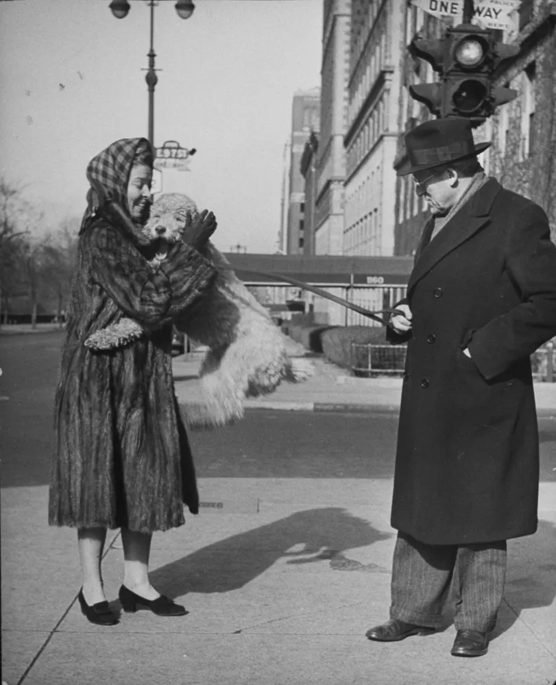 Celebrities Walk their Dogs in 1940s New York City