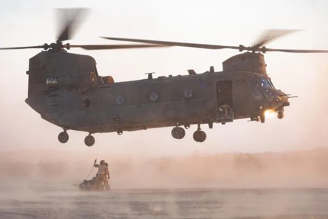 Joint Helicopter Support Squadron personnel are poised to attach a load to an RAF Chinook at Naval Air Facility El Centro in California in the first decade of August 2023, where they are deployed as part of Exercise Vortex Warrior. (Photo by RAF/The Times)