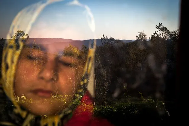 In this image released by World Press Photo titled “Into the Light” by photographer Zohreh Saberi which won the third prize in the Daily Life Singles category shows Raheleh, who was born blind, standing behind the window in the morning. She likes the warmness of the sunlight on her face. Babol, Mazandaran, Iran, November 12, 2015. (Photo by Zohren Saberi/Mehrnews Agency, World Press Photo via AP Photo)
