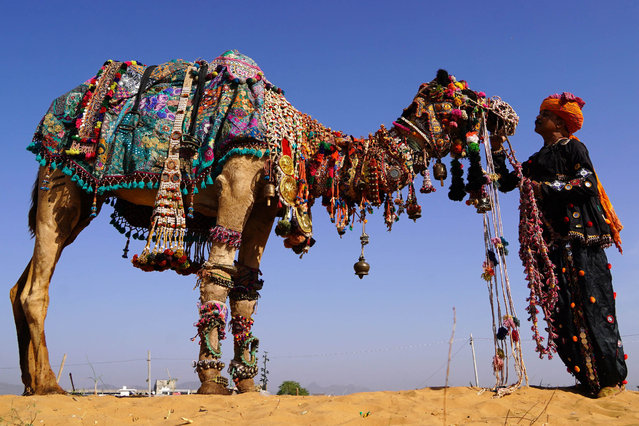A man interacts with his camel while posing for a picture at the Pushkar Camel Fair in Pushkar in the Indian state of Rajasthan state on November 12, 2021. (Photo by Himanshu Sharma/AFP Photo)
