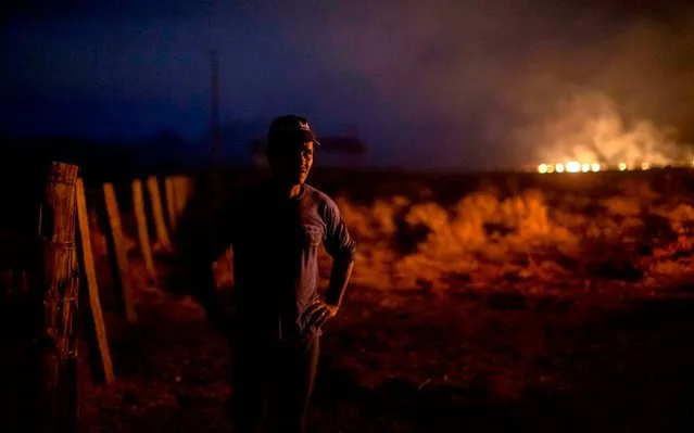 Brazilian Neri dos Santos, 48, looks at a fire at the farm where he works in Nova Santa Helena municipality, Mato Grosso state, in the Amazon basin, Brazil, on August 23, 2019. President Jair Bolsonaro authorized Friday the deployment of Brazil's armed forces to help combat fires raging in the Amazon rainforest, as a growing global outcry over the blazes sparks protests and threatens a huge trade deal. (Photo by Joao Laet/AFP Photo)