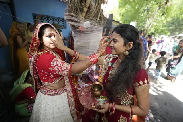 Married Hindu women perform rituals around a banyan tree on Vat Savitri festival in Ahmedabad, India, Tuesday, June 14, 2022. Vat Savitri is celebrated on a full moon day where women pray for the longevity of their husbands. (Photo by Ajit Solanki/AP Photo)