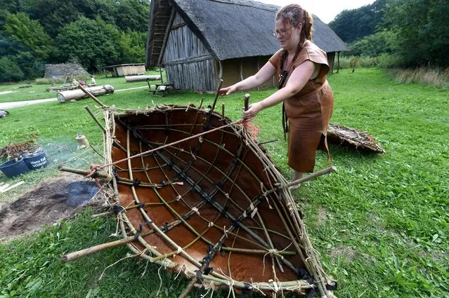 Nele, participant of a camp at the Stone Age Park in Albersdorf, northern Germany, works on a boat made of a cattle coat on July 28, 2014 at the camp. 26 students and scientists take part in the international camp to re-enact life during the Stone Age. (Photo by Carsten Rehder/AFP Photo/DPA)