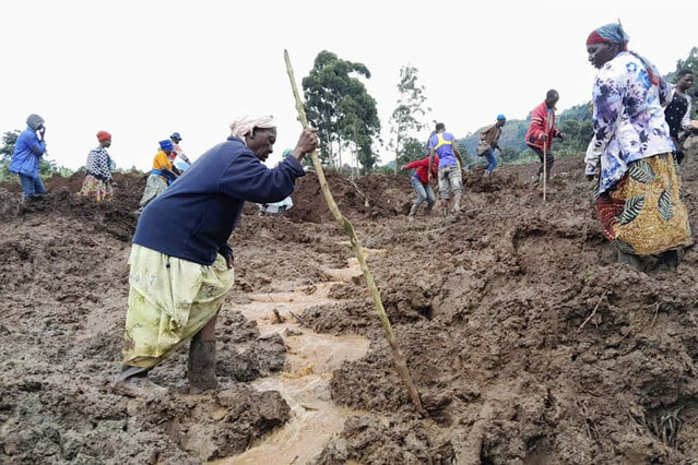 Rescue workers and people search for bodies after landslides following heavy rains buried 40 homes in the mountainous district of Bulambuli, eastern Uganda, Thursday, November 28. 2024. (Photo by Jean Watala/AP Photo)