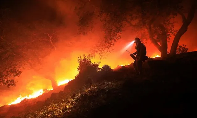 A San Diego Cal Fire firefighter monitors a flare up on a the head of a wildfire (the Southern LNU Complex), off of High Road above the Sonoma Valley, Wednesday October 11, 2017, in Sonoma, Calif. A wind shift caused flames to move quickly up hill and threaten homes in the area. Three days after the fires began, firefighters were still unable to gain control of the blazes that had turned entire Northern California neighborhoods to ash and destroyed thousands of homes and businesses. (Photo by Kent Porter/The Press Democrat via AP Photo)