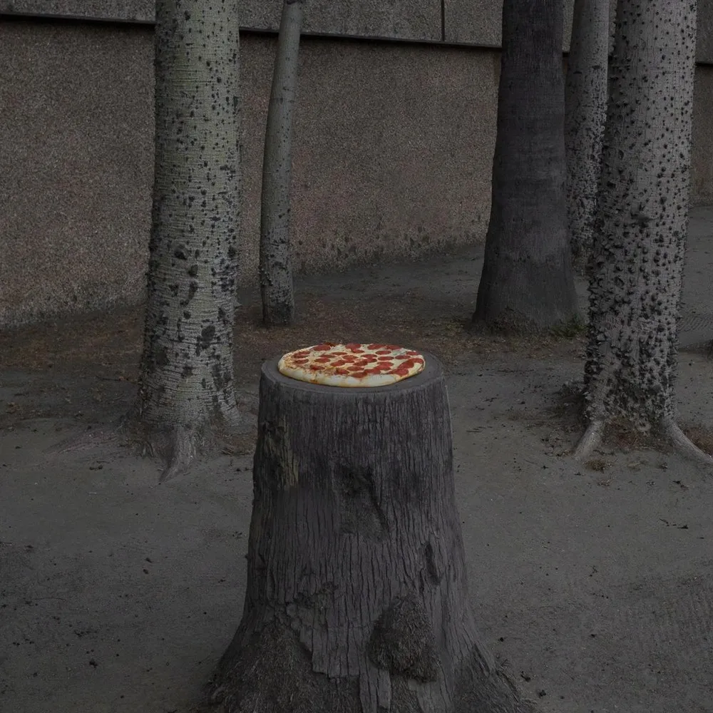 Pizza in the Wild by Jonpaul Douglass