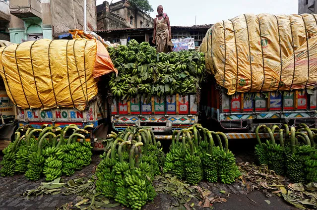 A worker unloads raw bananas, which will be used as offerings during prayers ahead of the Hindu religious festival of Chhath Puja, from a truck at a wholesale market in Kolkata, India October 25, 2017. (Photo by Rupak De Chowdhuri/Reuters)