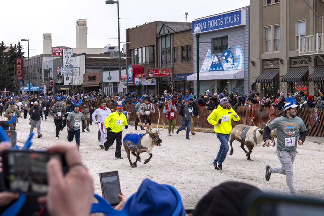 Participants gather to run after reindeer in creative costumes as the traditional “Running of the Reindeer” takes place in Anchorage, Alaska, United States on March 1, 2025. (Photo by Hasan Akbas/Anadolu via Getty Images)
