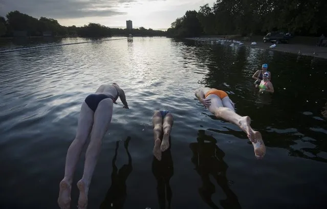 Members of the Serpentine Swimming Club dive into the water for an early morning swim in the Serpentine Lake in London, Britain, 26 August 2016. The Serpentine Swimming Club, founded more than 140 years ago, allows its members to enjoy a swim in the Serpentine Lake in central London's Hyde Park. (Photo by Hannah Mckay/EPA)