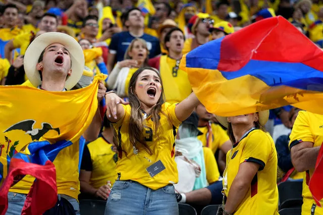 Ecuador fans ahead of the FIFA World Cup Group A match at the Al Bayt Stadium, Al Khor on Sunday, November 20, 2022. (Photo by Mike Egerton/PA Wire Press Association)