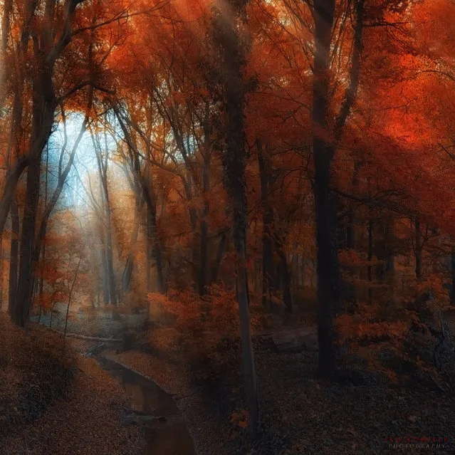 Middle-earth. (Ildiko Neer)