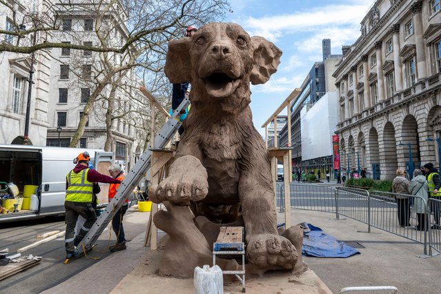 Workmen put the finishing touches to a giant dog sculpture, made of sand and clay, outside Somerset House in London on March 19, 2025. The installation is a promotion for James Wellbeloved, a premium dog food brand. (Photo by Stephen Chung/Alamy Live News)