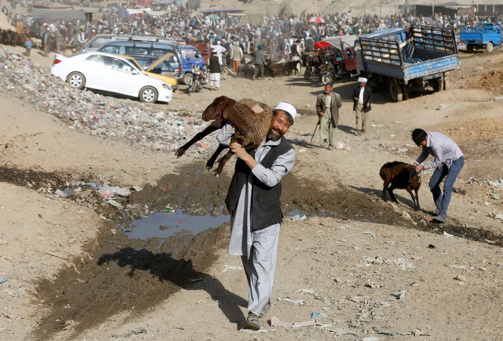 Ahead of Eid Al-Adha 2016