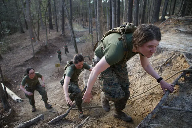 Female Marines climb a hill while running the Endurance Course during Marine Combat Training (MCT) on February 20, 2013 at Camp Lejeune, North Carolina.  Since 1988 all non-infantry enlisted male Marines have been required to complete 29 days of basic combat skills training at MCT after graduating from boot camp. MCT has been required for all enlisted female Marines since 1997. About six percent of enlisted Marines are female.  (Photo by Scott Olson)