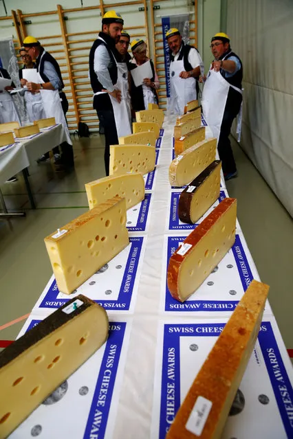 Judges talks in front of pieces of Emmental cheese during the Swiss Cheese Awards competition in Le Sentier, Switzerland September 23, 2016. (Photo by Denis Balibouse/Reuters)