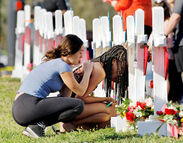 A senior at Marjory Stoneman Douglas High School weeps in front of a cross and Star of David for shooting victim Meadow Pollack while a fellow classmate consoles her at a memorial by the school in Parkland, Florida, February 18, 2018. (Photo by Jonathan Drake/Reuters)
