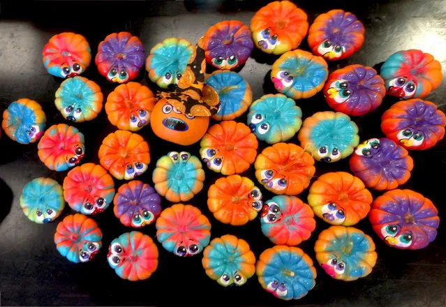 Mini pumpkin monsters are on display for children in a store in Springfield, Virgninia on October 10, 2016, as part of decorations ahead of a Halloween celebration at the end of this month. (Photo by Diaa Bekheet)