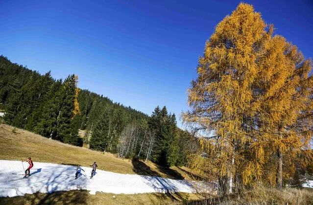 Cross country skiers ski on an artificial slope during a sunny autumn day in the Western Austrian village of Seefeld, Austria November 5, 2015. (Photo by Dominic Ebenbichler/Reuters)
