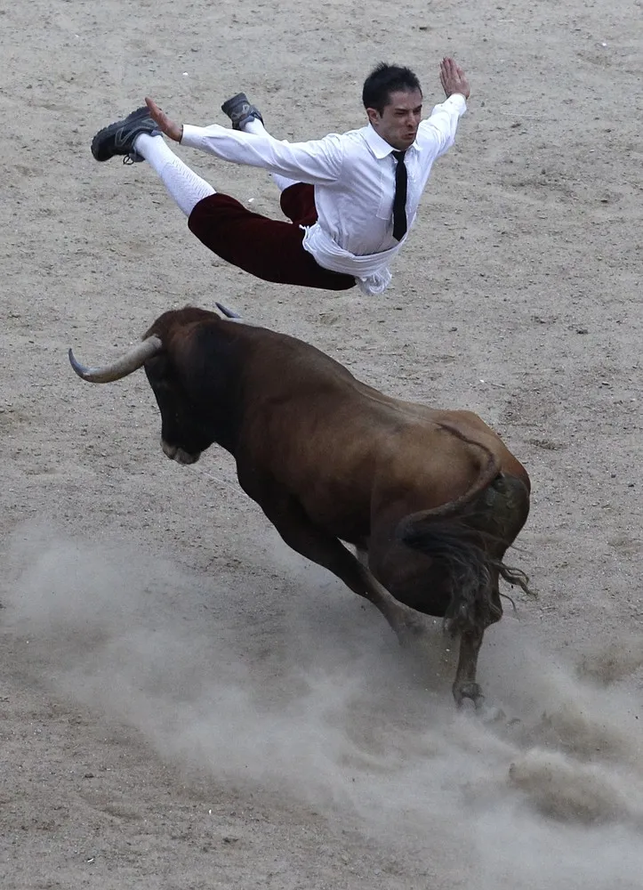 A Bull Show in Colombia