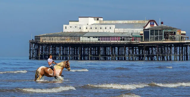 Hercules the Blackpool horse cools down in the sea with rider Tyrone, on what is believed to be the hottest day of the year so far on April 19, 2018. (Photo by Peter Byrne/PA Images via Getty Images)