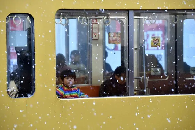 A boy looks at falling snow from a train window in Tokyo on November 24, 2016. (Photo by Kazuhiro Nogi/AFP Photo)